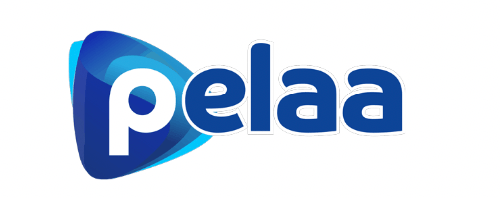 pelaa casino